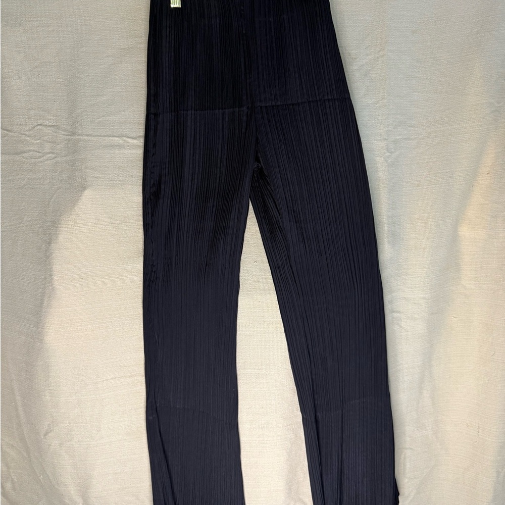 H&M Midnight Black Pleated Trousers